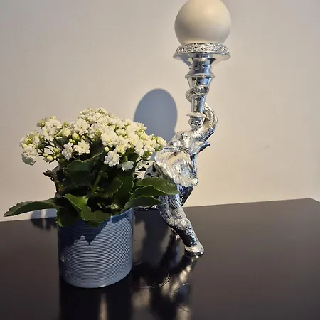 Εξοχικό σπίτι Garden Suite